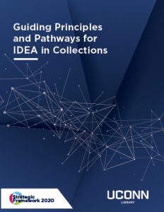 Guiding Principles and Pathway for IDEA in Collections