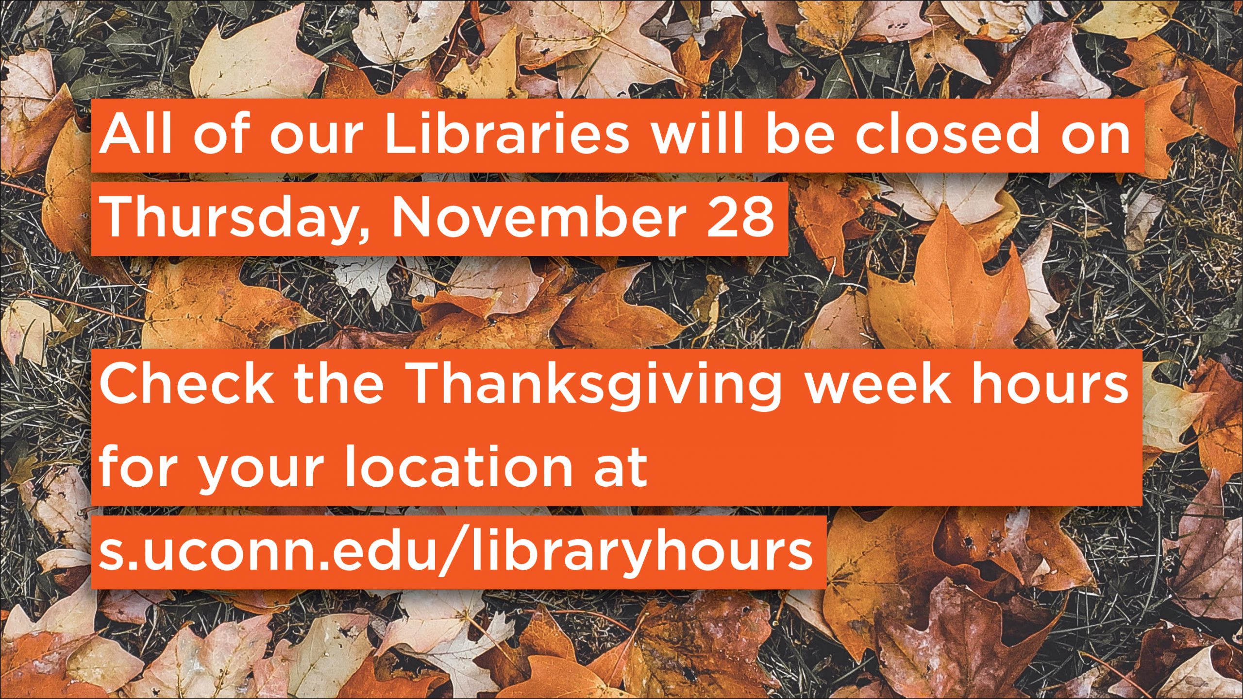 All UConn Library locations will be closed on November 28. Check the Thanksgiving week hours for your location at s.uconn.edu/LibraryHours