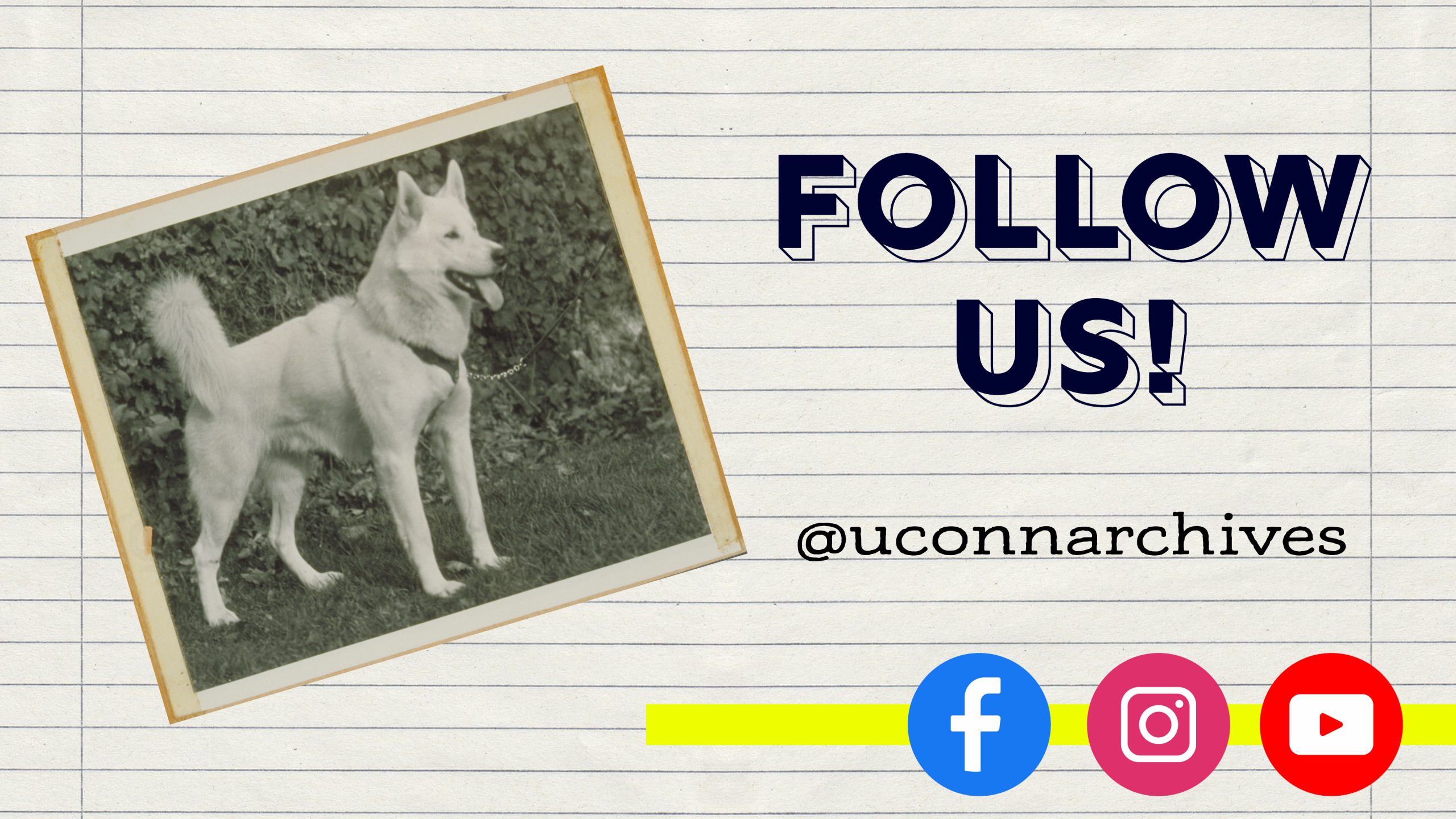 Old photograph of Jonathan II, UConn's mascot, on a lined paper background. "Follow Us! @uconnarchives on Facebook, Instagram and YouTube."