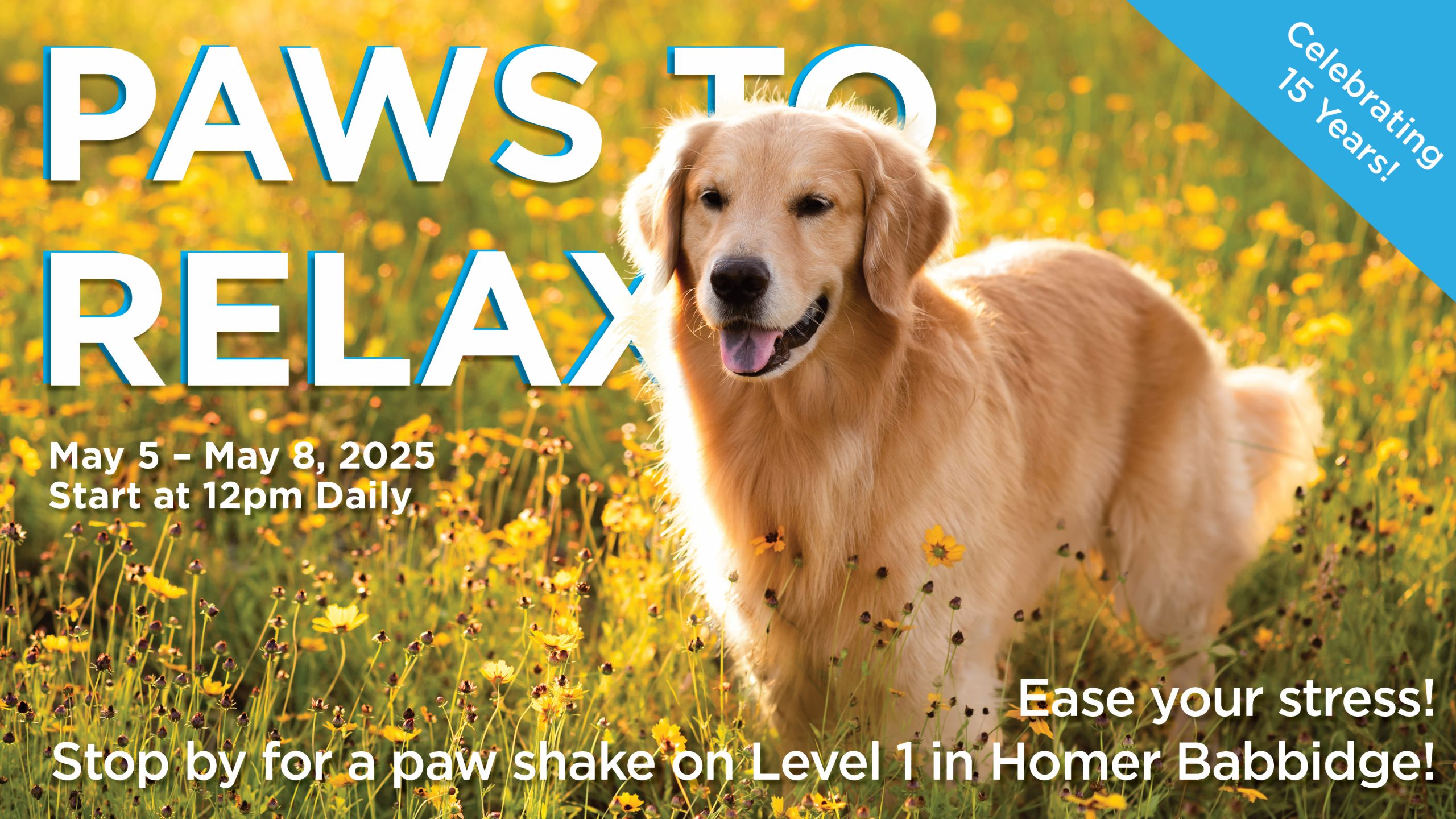 Paws to Relax - Celebrating 15 Years! May 5 - 9th at 12pm daily on Level 1 in Homer Babbidge Library. Ease your stress, stop by for a paw shake!