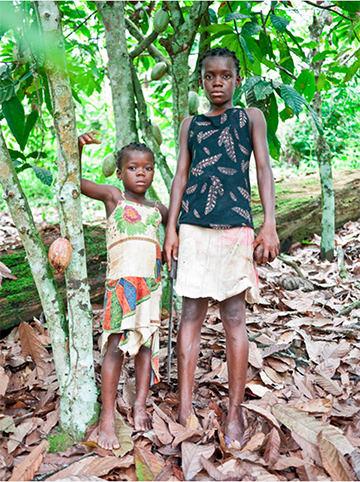 Young Girls at Cocoa Farm