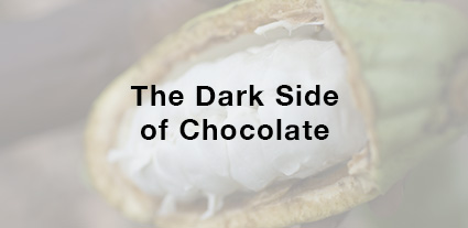 The Dark Side of Chocolate
